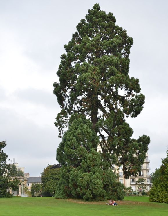 B42-7350.JPG