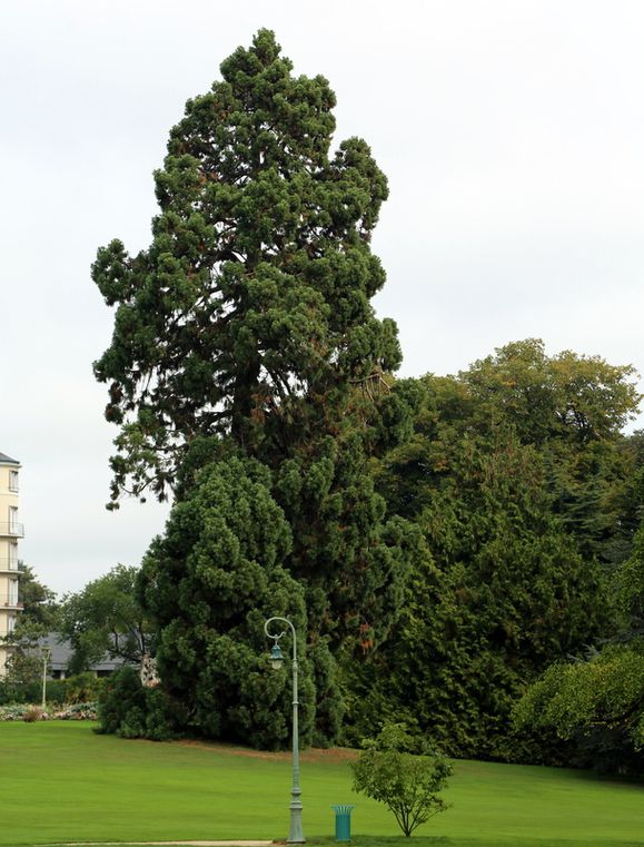 LA0A0031-copie-1.JPG