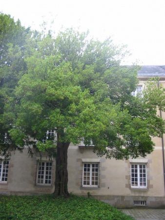fiche_photo_395.jpg