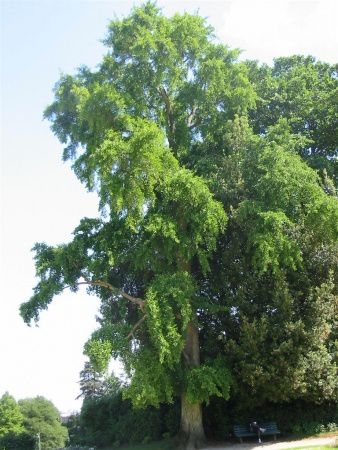 fiche_photo_82.jpg