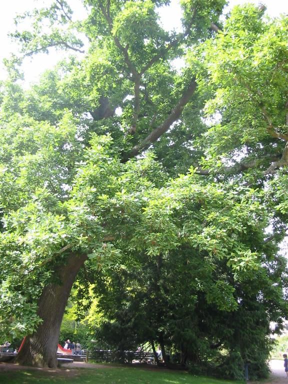 photo_399.jpg