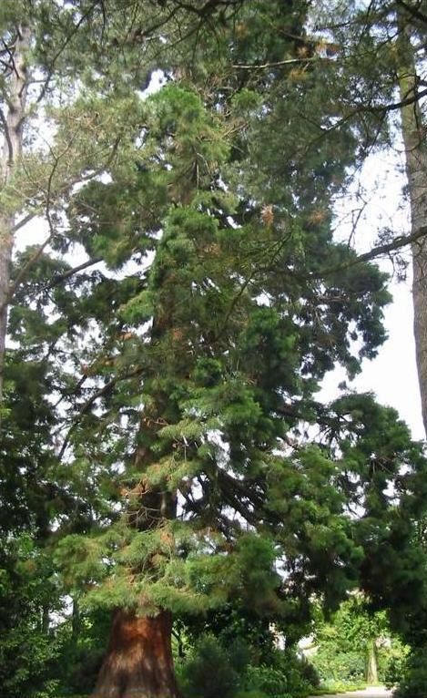 photo_389.jpg