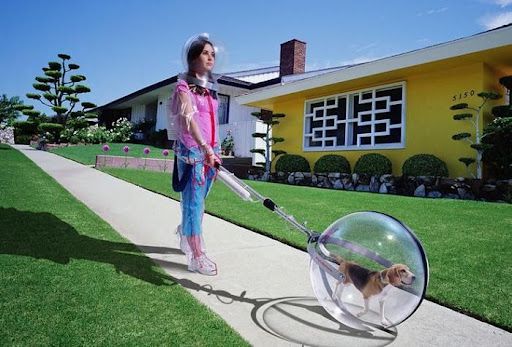 protection contre les germes