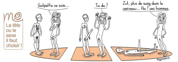 cerveau.jpg