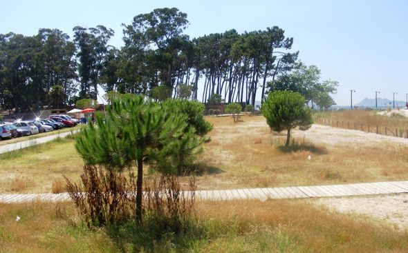 Excampo de futbol-2010