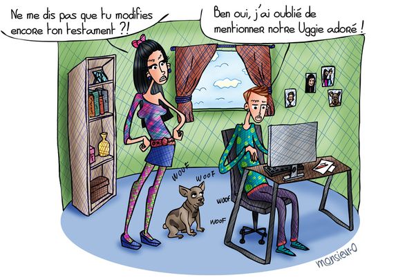 Succession-Chien---Avec-fenetre.jpg
