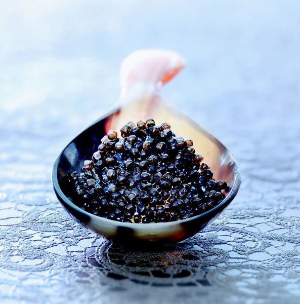 CaviarR.jpg
