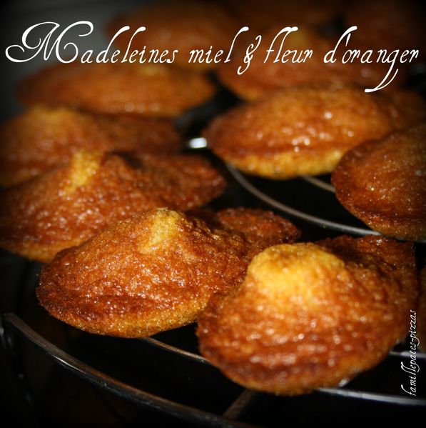 madeleines miel & fleur d'oranger 2