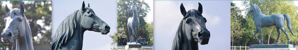 Maisons-Laffitte-4-septembre-2012-montage-2.jpg