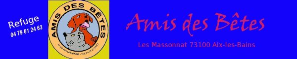 banniere