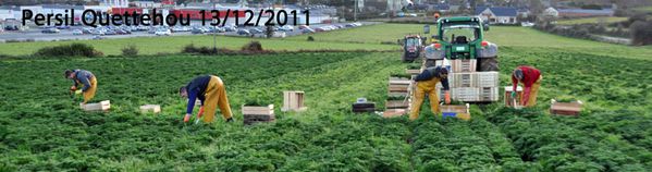 2011-persil-050