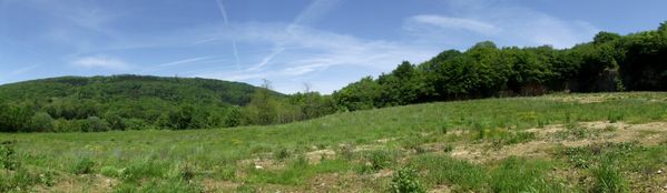 DSCF0454