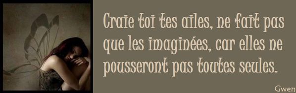 ailes-copie-1
