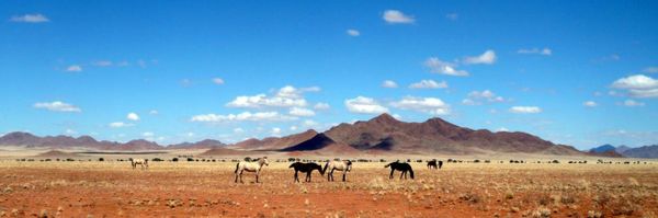 Namib Rand