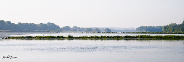 Stage Photo - Bord de Loire 2-19