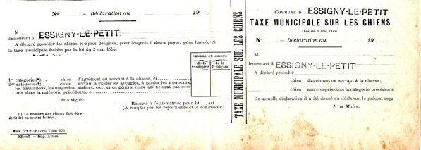 taxechiens001.jpg