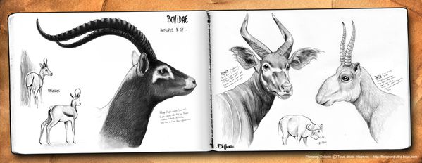 moleskine croquis dellerie 3