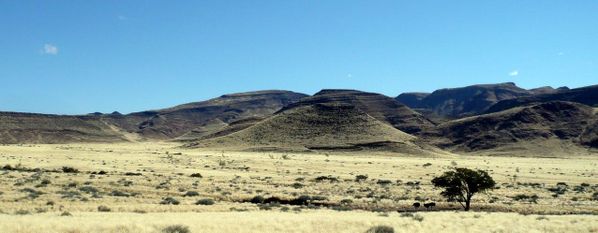 Namib Rand landscape