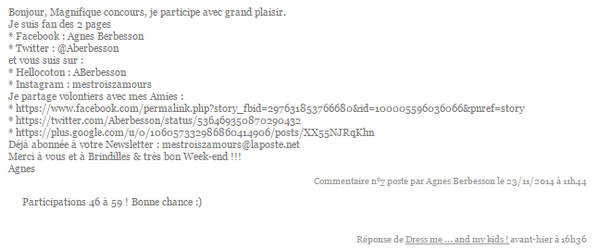 gagnante-brindilles.png