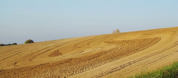 DSC01699