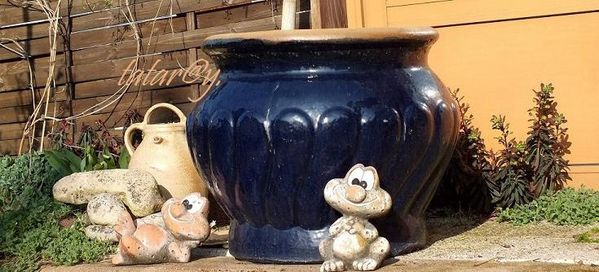 DSCF2077---R.jpg