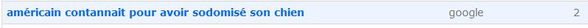 americain-sodomise-chien.JPG