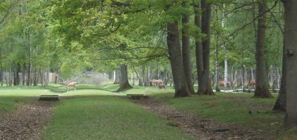 rambouillet 09