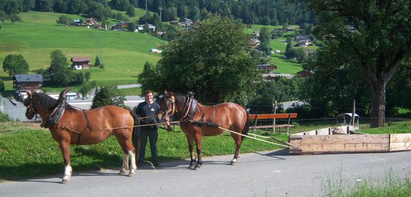 cheval- Megève.photo F. DUVILLARD (2)