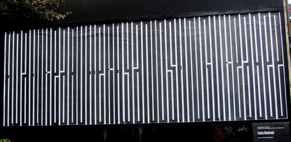 cpafini-7022.JPG