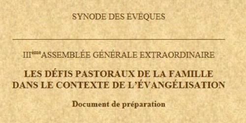 Synode-sur-la-famille-document.jpg