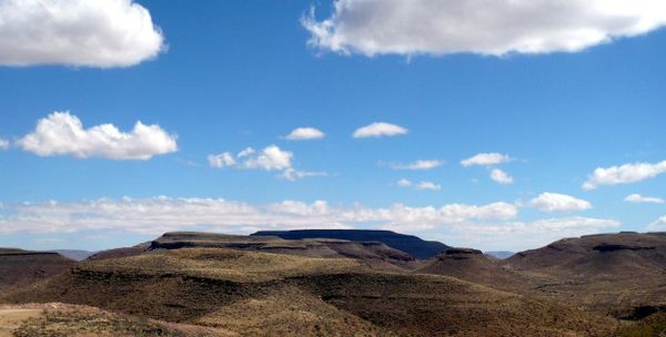 Tsaris namibie