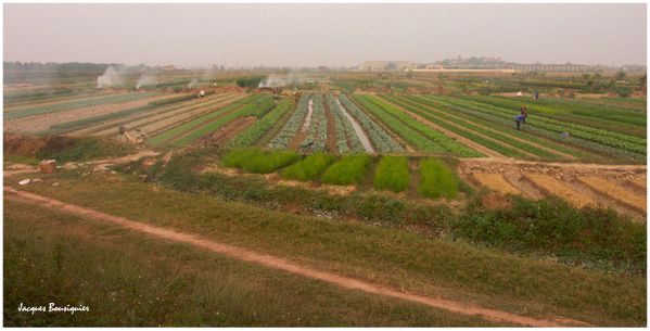 Vietnam Hue route vers aeroport 1