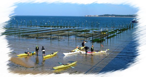 11 03 2011 pêche à Bélisaire 004