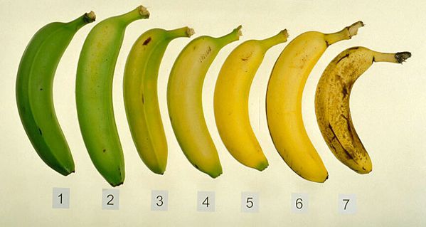 banana ripeningchart