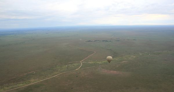 Serengeti-vu-du-haut.JPG