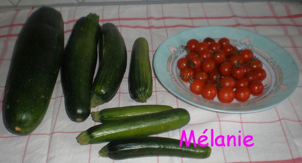 jardin_2012_24.jpg