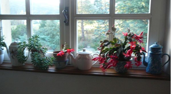 P1080455.JPG