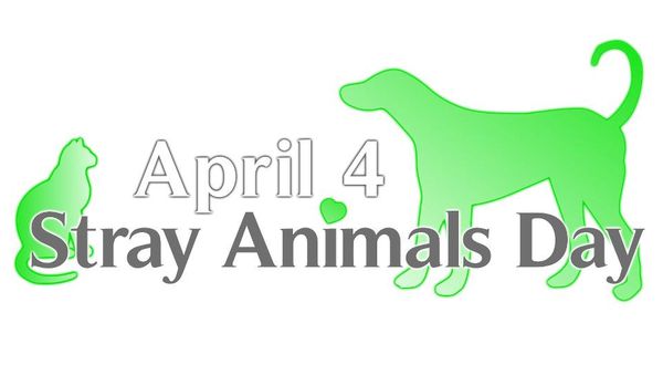 Stray-animals-day1