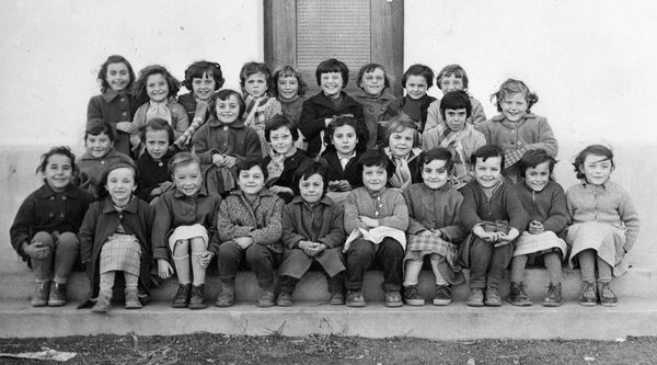 1956 les petits
