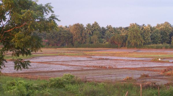 SRI-LANKA-2-068.JPG