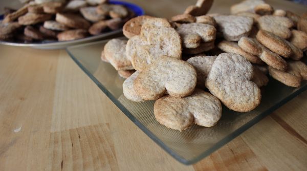 Cannelle--2--copie-1.JPG