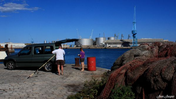 Pêche en mer, les pieds sur terre (1)