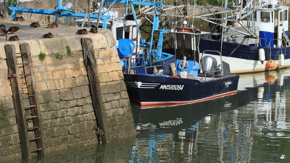 Vues de Meschers sur Gironde 04