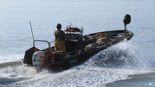 Vues de Meschers sur Gironde 05
