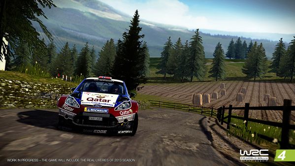 wrc4_06.jpg
