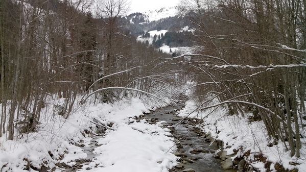 Le-Val-Montjoie-20140130_153935-copie-1.jpg