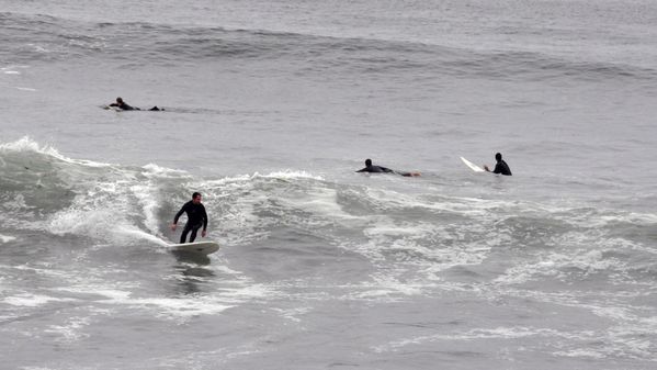 surfeurs-a-malibu-la.jpg