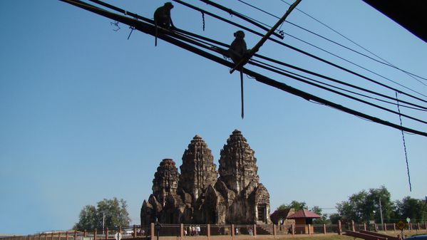 Les singes de LopBuri - Wat Phra Prang San Yod-
