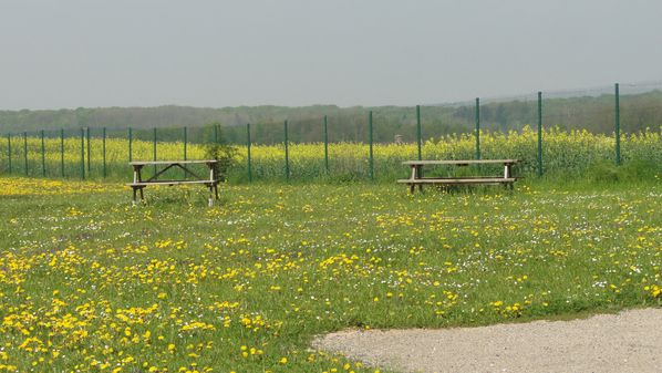 DSC03904-copie-1.JPG