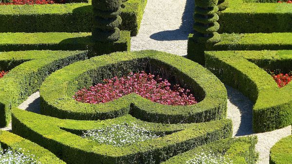 Château de Villandry 0018